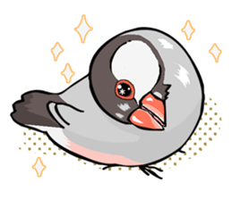 Negotiations sticker of Java sparrow sticker #10675301