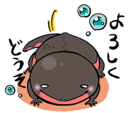 Bellied newt sticker #10675625