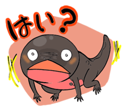 Bellied newt sticker #10675651