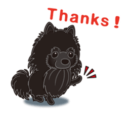 A sticker willingly. Black Pomeranian EV sticker #10676506