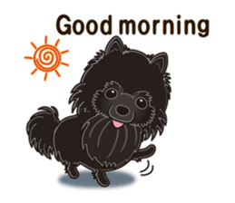 A sticker willingly. Black Pomeranian EV sticker #10676508