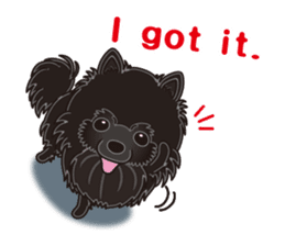 A sticker willingly. Black Pomeranian EV sticker #10676509