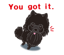 A sticker willingly. Black Pomeranian EV sticker #10676510