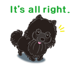 A sticker willingly. Black Pomeranian EV sticker #10676512