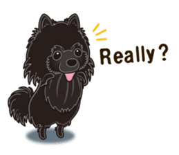 A sticker willingly. Black Pomeranian EV sticker #10676515