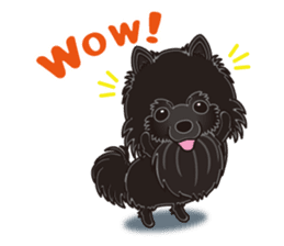 A sticker willingly. Black Pomeranian EV sticker #10676516