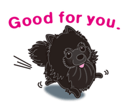 A sticker willingly. Black Pomeranian EV sticker #10676517