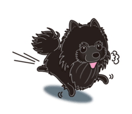A sticker willingly. Black Pomeranian EV sticker #10676521