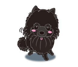 A sticker willingly. Black Pomeranian EV sticker #10676523