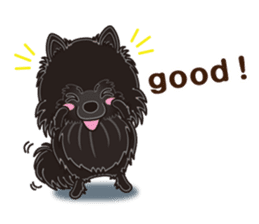 A sticker willingly. Black Pomeranian EV sticker #10676524