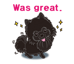 A sticker willingly. Black Pomeranian EV sticker #10676526
