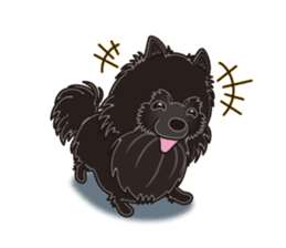 A sticker willingly. Black Pomeranian EV sticker #10676527