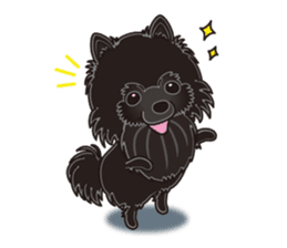 A sticker willingly. Black Pomeranian EV sticker #10676528
