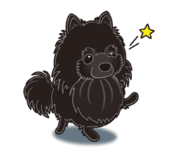 A sticker willingly. Black Pomeranian EV sticker #10676529