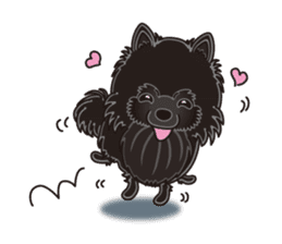 A sticker willingly. Black Pomeranian EV sticker #10676530