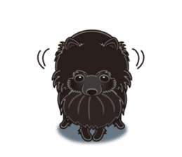 A sticker willingly. Black Pomeranian EV sticker #10676531