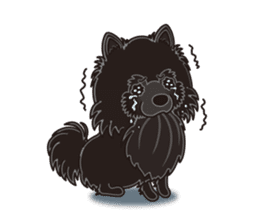 A sticker willingly. Black Pomeranian EV sticker #10676533