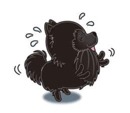 A sticker willingly. Black Pomeranian EV sticker #10676534