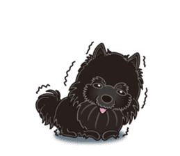 A sticker willingly. Black Pomeranian EV sticker #10676535