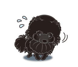 A sticker willingly. Black Pomeranian EV sticker #10676537
