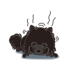 A sticker willingly. Black Pomeranian EV sticker #10676538