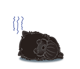 A sticker willingly. Black Pomeranian EV sticker #10676539