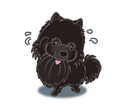 A sticker willingly. Black Pomeranian EV sticker #10676540