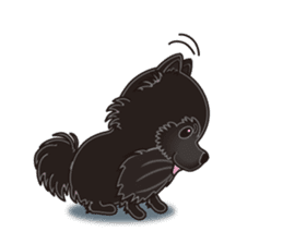 A sticker willingly. Black Pomeranian EV sticker #10676541