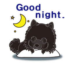 A sticker willingly. Black Pomeranian EV sticker #10676543