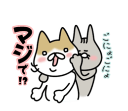 Shiri-Hachi & Haitora sticker #10677599