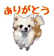 Komaru of a Chihuahua sticker #10679466