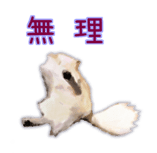 Komaru of a Chihuahua sticker #10679477