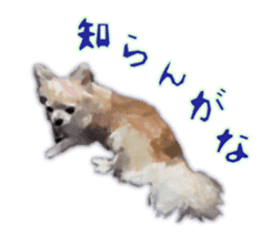 Komaru of a Chihuahua sticker #10679481