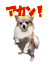 Komaru of a Chihuahua sticker #10679482