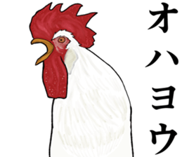 Refreshing man19 sticker #10681569