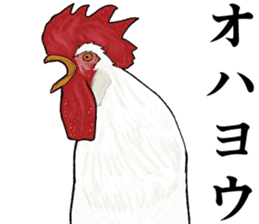 Refreshing man19 sticker #10681569