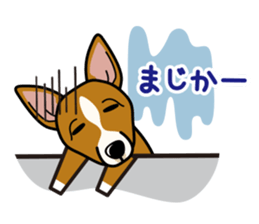 iinu - Basenji sticker #10683073