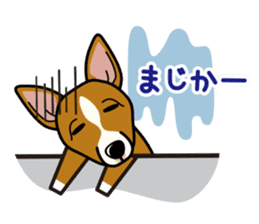 iinu - Basenji sticker #10683073