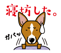 iinu - Basenji sticker #10683082