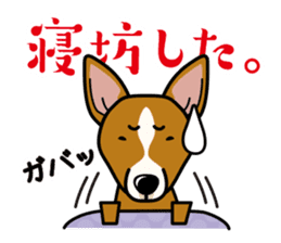 iinu - Basenji sticker #10683082