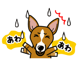 iinu - Basenji sticker #10683083