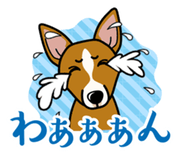 iinu - Basenji sticker #10683093