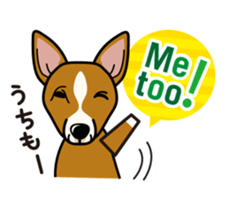 iinu - Basenji sticker #10683094