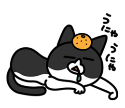 Along with Rico sticker #10687851