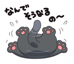 Surprised cat sticker #10688666