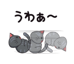 Surprised cat sticker #10688683