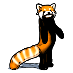 Daily life of the lesser panda