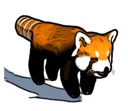 Daily life of the lesser panda sticker #10691344