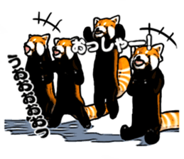 Daily life of the lesser panda sticker #10691345