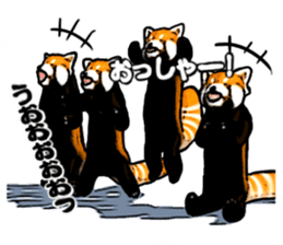 Daily life of the lesser panda sticker #10691345
